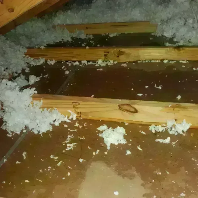 Attic Water Damage in Big Spring, TX