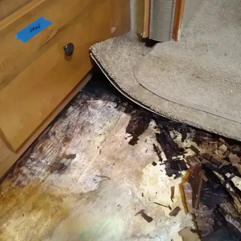 Wood Floor Water Damage in Big Spring, TX